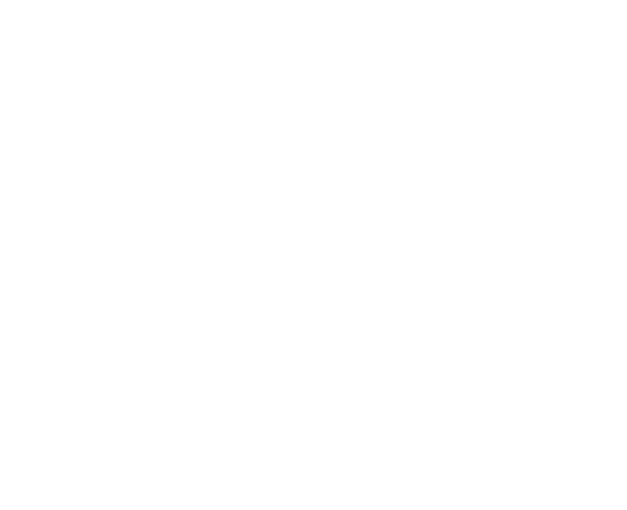 Alpha Endurance Team